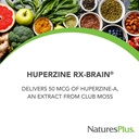 naturesplus-huperzine-rx-brain-30-tablet-2.jpg