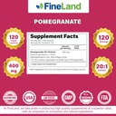 fineland-pomegranate-extract-20-1-40-ell-3.jpg