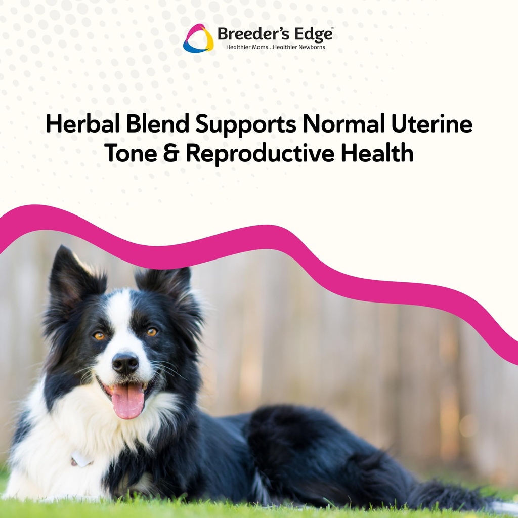 breeder-s-edge-oxy-mate-dog-prenatal-vit-5.jpg