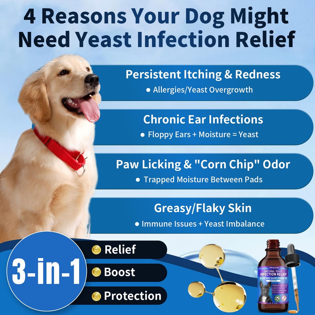 natural-yeast-infection-treatment-for-do-2.jpg