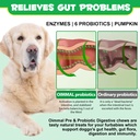 probiotics-for-dogs-digestive-health-dig-4.jpg