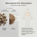 purica-cordyceps-mushroom-supplements-12-5.jpg