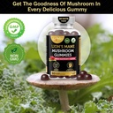 aamatec-life-mushroom-gummies-for-adults-2.jpg