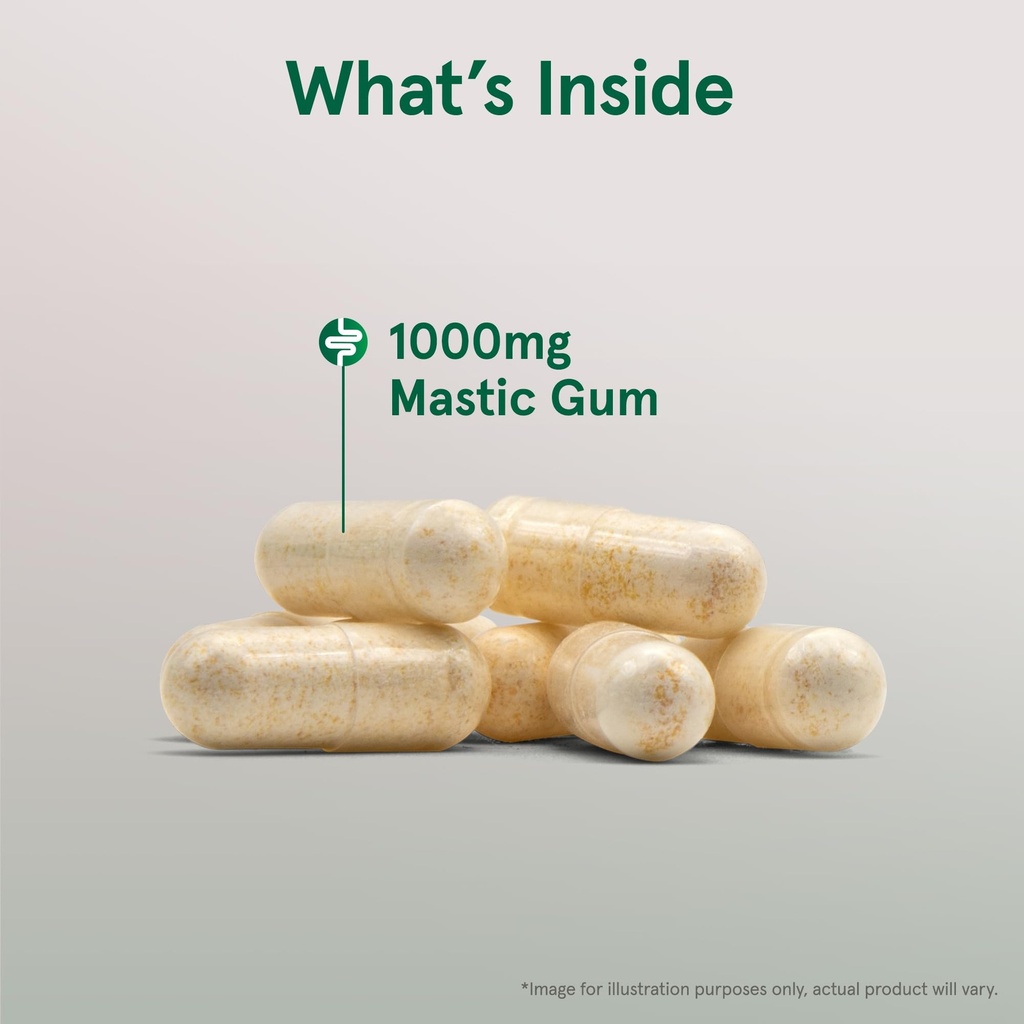 jarrow-formulas-mastic-gum-1000-mg-120-v-3.jpg