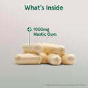 jarrow-formulas-mastic-gum-1000-mg-120-v-3.jpg