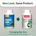 jarrow-formulas-mastic-gum-1000-mg-120-v-2.jpg
