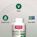 jarrow-formulas-mastic-gum-1000-mg-120-v-5.jpg