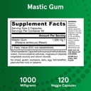 jarrow-formulas-mastic-gum-1000-mg-120-v-6.jpg
