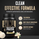 animal-whey-isolate-protein-powder-loade-5.jpg