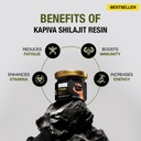 kapiva-100-pure-himalayan-shilajit-resin-4.jpg
