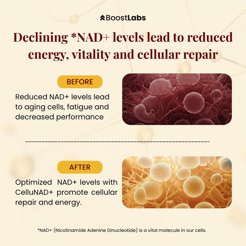 liposomal-nad-supplement-liquid-drops-hi-5.jpg