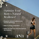 aeva-immunity-support-enzymes-functional-3.jpg