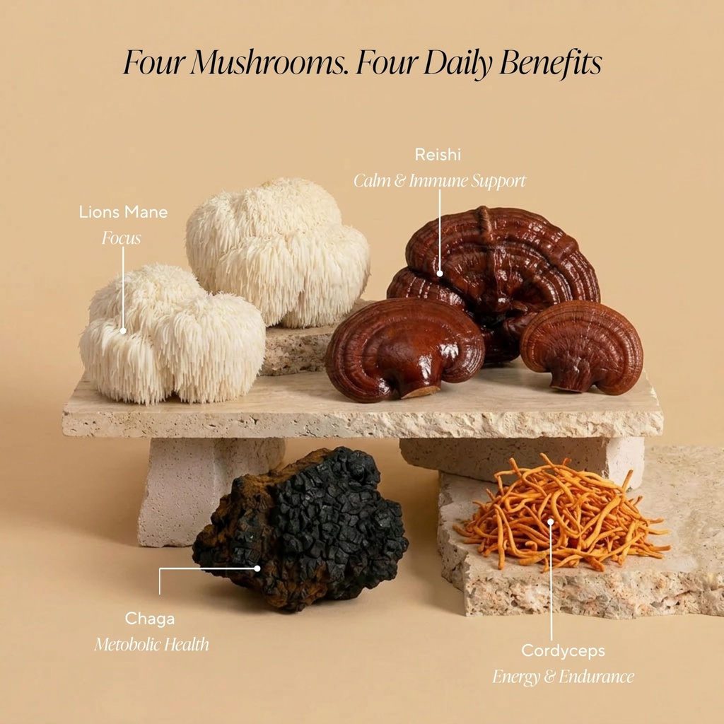 om-mushrooms-superfoods-creamy-vanilla-c-4.jpg