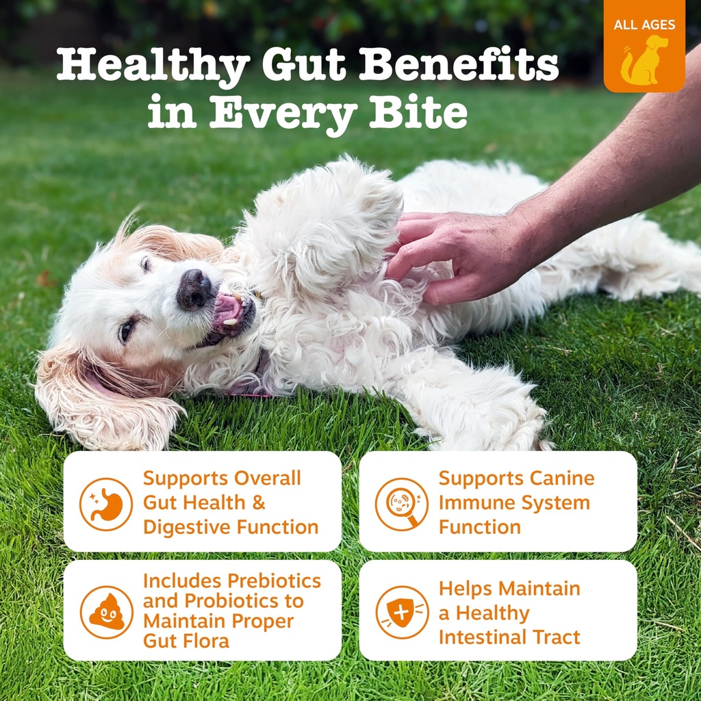 zesty-paws-probiotics-for-dogs-digestive-2.jpg