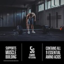 american-body-building-abb-pure-pro-prot-5.jpg
