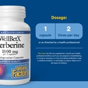 natural-factors-wellbetx-berberine-daily-3.jpg