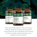 gaia-herbs-pro-turmeric-fenugreek-comple-6.jpg