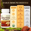 shell-broken-reishi-mushroom-spore-suppl-6.jpg