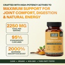 turmeric-3-in-1-complex-with-curcumin-gi-4.jpg