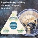 igennus-advanced-vegan-vanilla-collagen--4.jpg