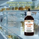 yu-xing-cao-houttuynia-cordata-dry-herb--4.jpg