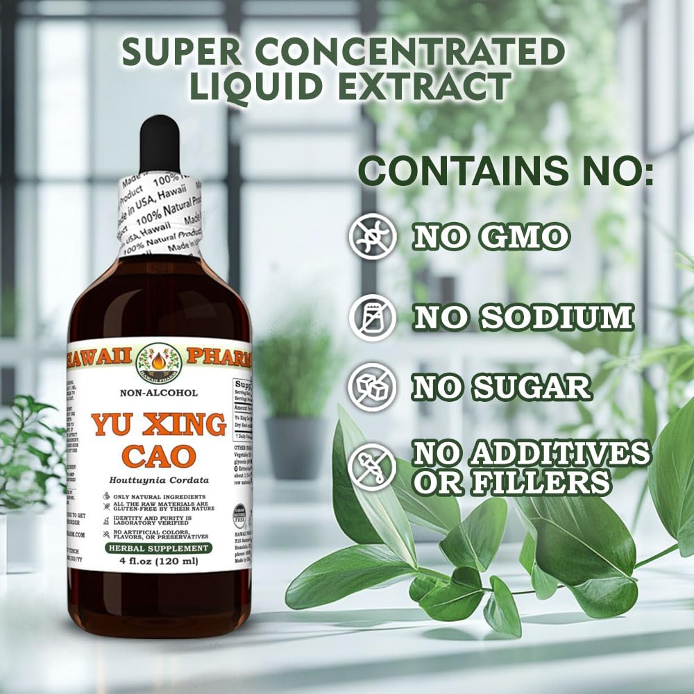 yu-xing-cao-houttuynia-cordata-dry-herb--6.jpg