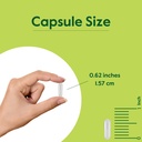 bestvite-insea2-250mg-120-vegetarian-cap-5.jpg