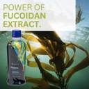 youngevity-zradical-fucoidan-organic-mar-6.jpg