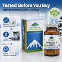 pure-mountain-botanicals-rhodiola-rosea--4.jpg