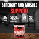 creatine-monohydrate-gummies-for-men-wom-2.jpg