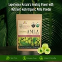 100-organic-amla-powder-ayurvedic-blend--2.jpg