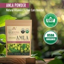 100-organic-amla-powder-ayurvedic-blend--3.jpg