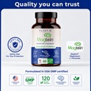magnesium-l-threonate-capsules-brain-sle-5.jpg