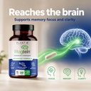 magnesium-l-threonate-capsules-brain-sle-2.jpg