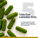 premier-research-labs-probiotic-fermente-5.jpg