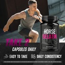 3-pack-horse-gelatin-capsules-official-h-4.jpg
