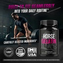 3-pack-horse-gelatin-capsules-official-h-5.jpg