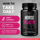 valdivia-2-pack-horse-gelatin-capsules-o-4.jpg
