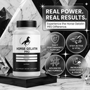 5-pack-horse-gelatin-capsules-official-h-6.jpg