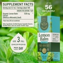 herbamama-lemon-balm-tincture-vegan-rela-3.jpg