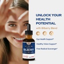 bilberry-extract-supplement-for-eye-heal-2.jpg