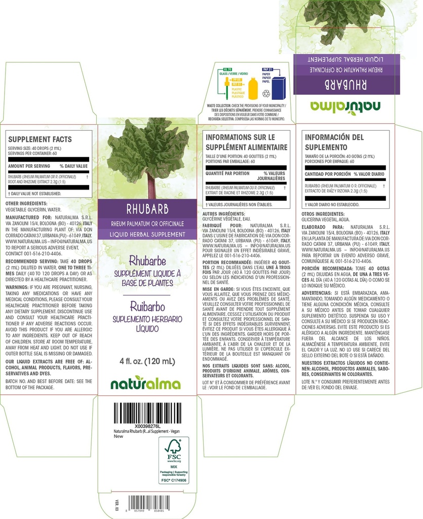 naturalma-rhubarb-rheum-palmatum-or-rheu-2.jpg
