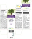 naturalma-rhubarb-rheum-palmatum-or-rheu-2.jpg