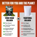vedge-vegan-collagen-powder-plant-based--5.jpg