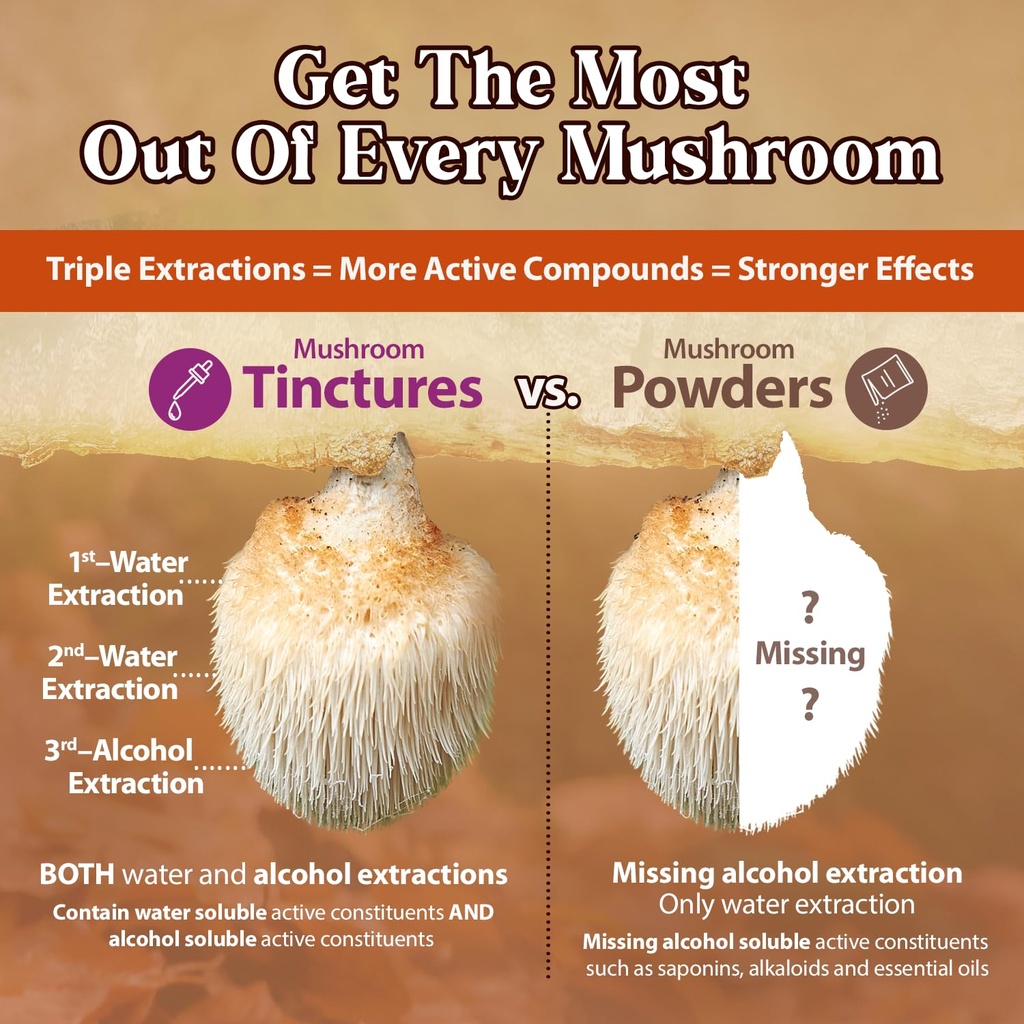 dragon-herbs-lion-s-mane-drops-mushroom--6.jpg