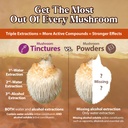 dragon-herbs-lion-s-mane-drops-mushroom--6.jpg