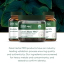 gaia-herbs-pro-lion-s-mane-gummies-nerve-6.jpg
