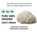 jetsu-lions-mane-mushroom-powder-organic-6.jpg