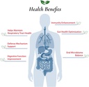 foods-for-gut-lactobacillus-salivarius-p-4.jpg