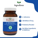 foods-for-gut-lactobacillus-salivarius-p-3.jpg